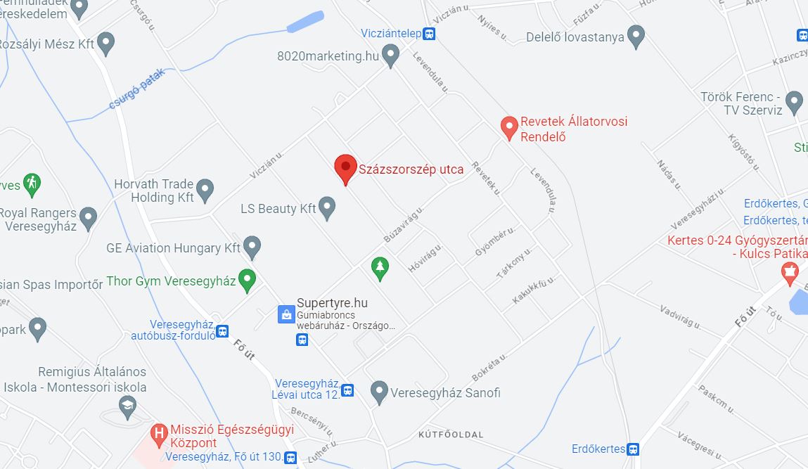 Térkép